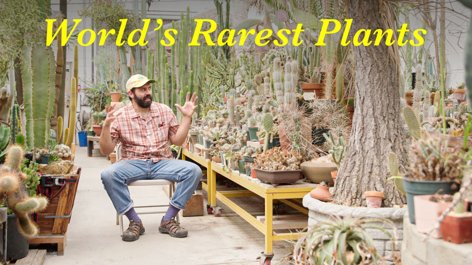 Inside a Hidden LA Greenhouse Full of the World’s Rarest Plants